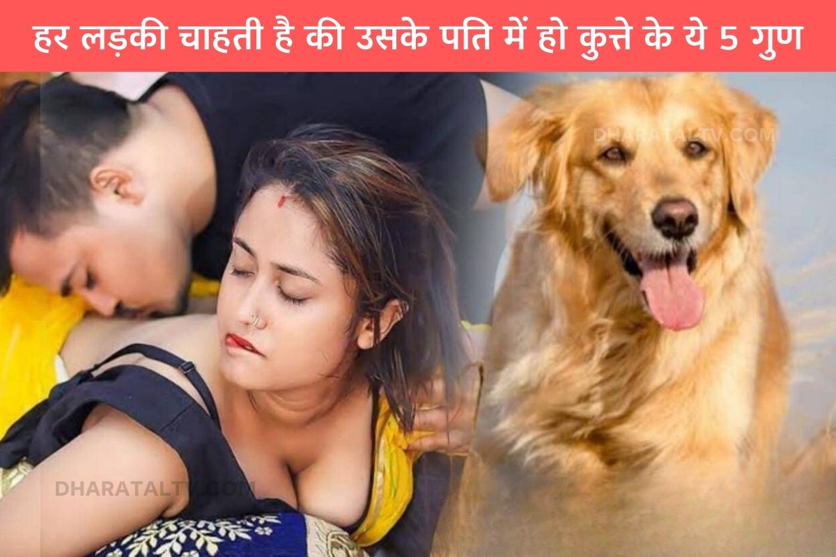 women-like-men-with-these-qualities-of-dogs