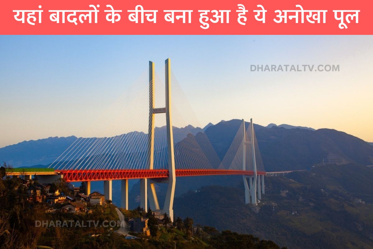 worlds tallest bridge