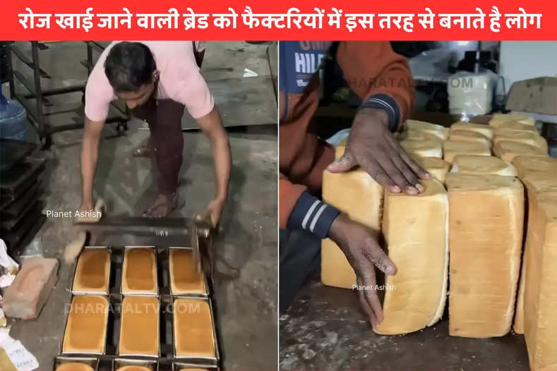 Bread Factory Viral Video
