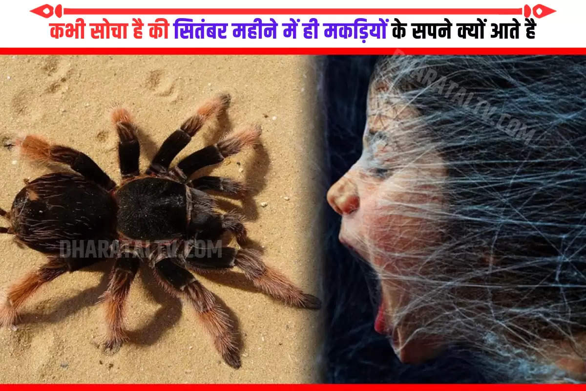 why-most-people-gets-spider-dream-in-september-experts-tell-this-reason