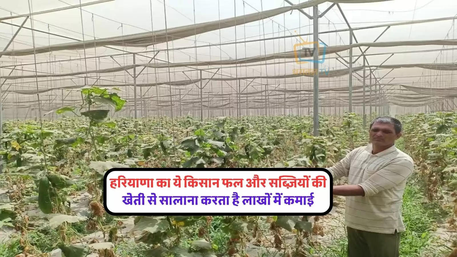 this-farmer-of-haryana-earns-a-profit-of-30-lakhs-annually-is-earning-well-in-the-cultivation-of-fruits-and-vegetables