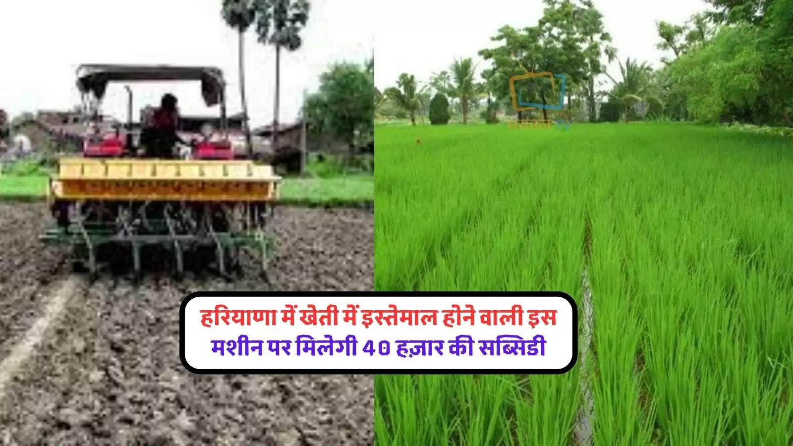 haryana-farmers-are-getting-40-thousand-rupees-subsidy-on-direct-sowing-machinery-of-paddy-state-govt-scheme-lbsa