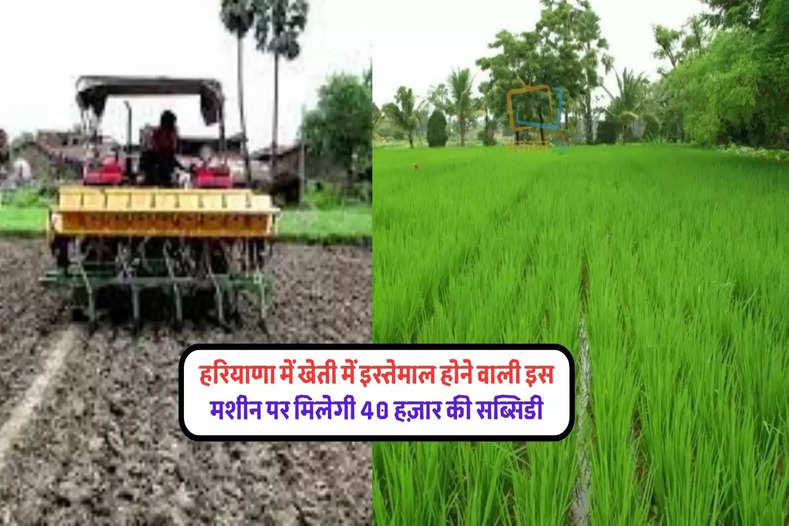 haryana-farmers-are-getting-40-thousand-rupees-subsidy-on-direct-sowing-machinery-of-paddy-state-govt-scheme-lbsa