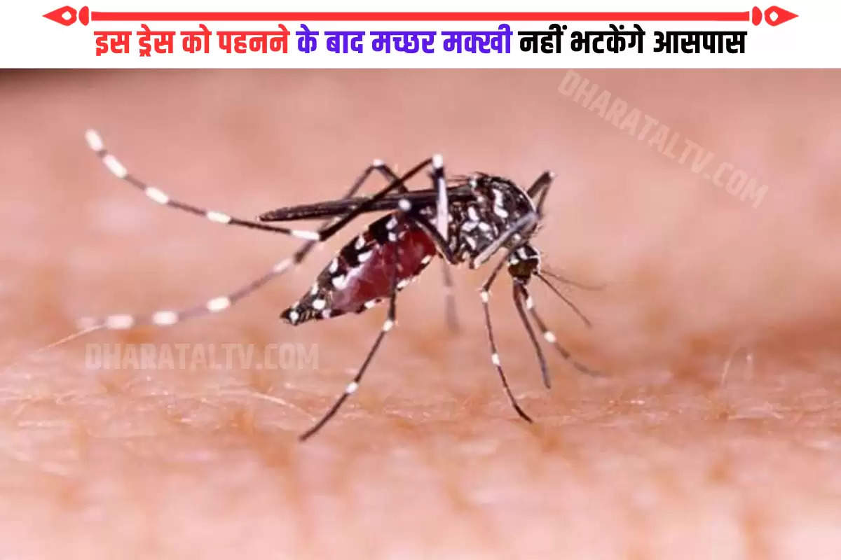 scented-fabric-that-keeps-away-mosquito-flies-lizard-repellent-pharmacist-couple-from-chhattisgarh-made-this-fabric