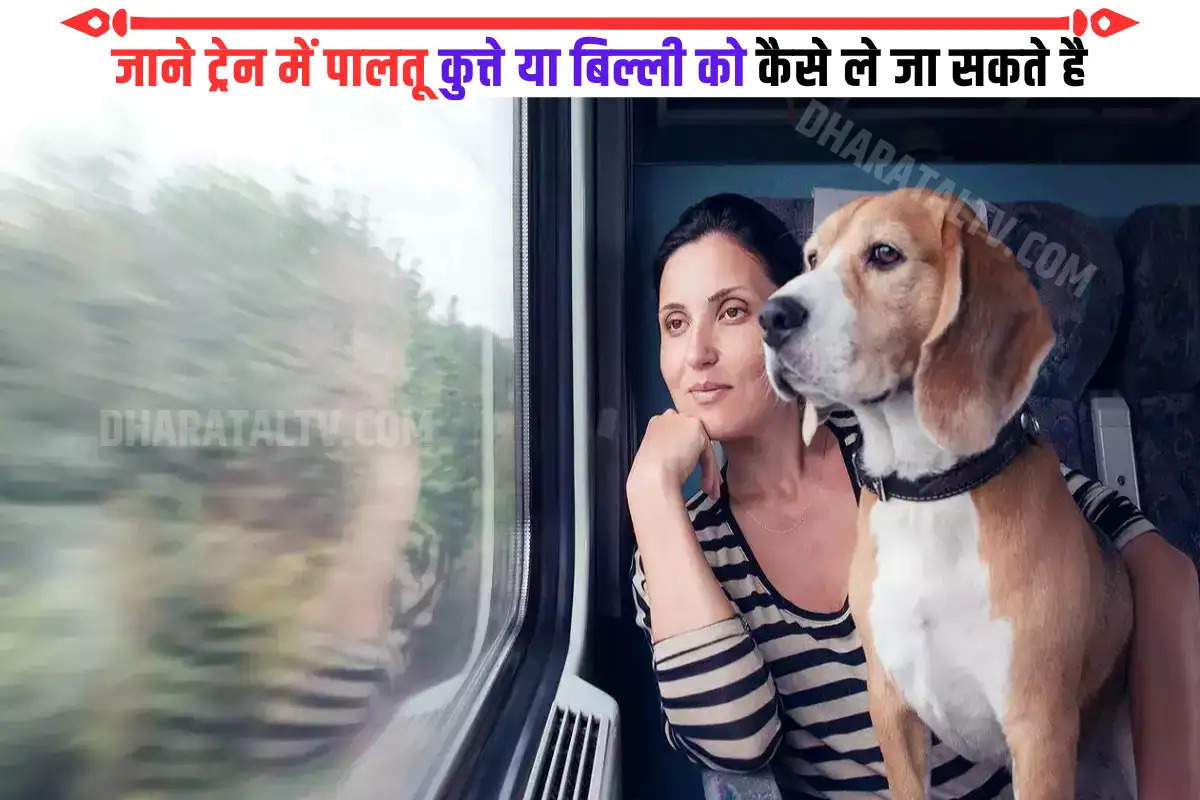 now-you-can-take-pet-dogs-and-cats-in-the-train