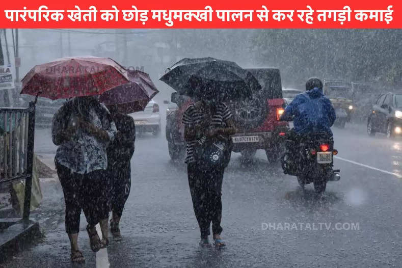 bihar-weather-heavy-rain-will-occur-in-these