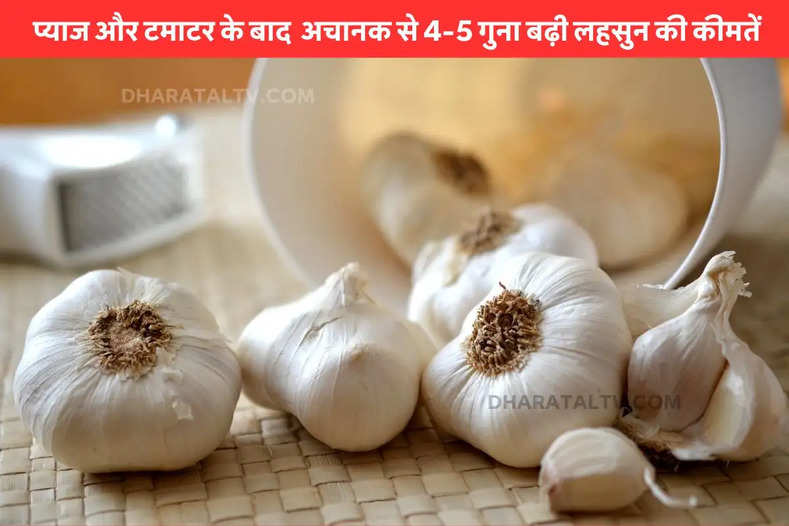 1 kg garlic price in india today