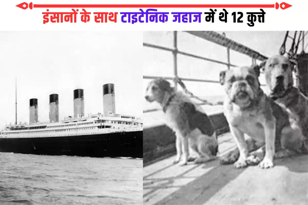 titanic-hindi-12-dogs-in-titanic-along-with-humans-know-what-happened-to-them