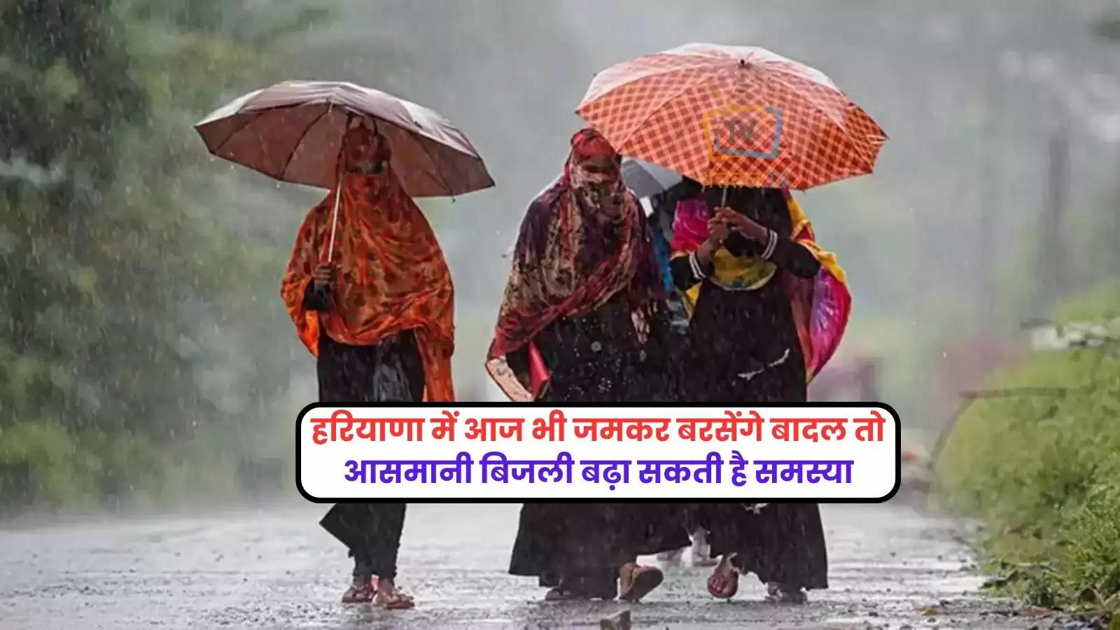 haryana-weather-update-imd-alert-thunderstorm-lightning-impact-on-farmers-haryana-weather-today