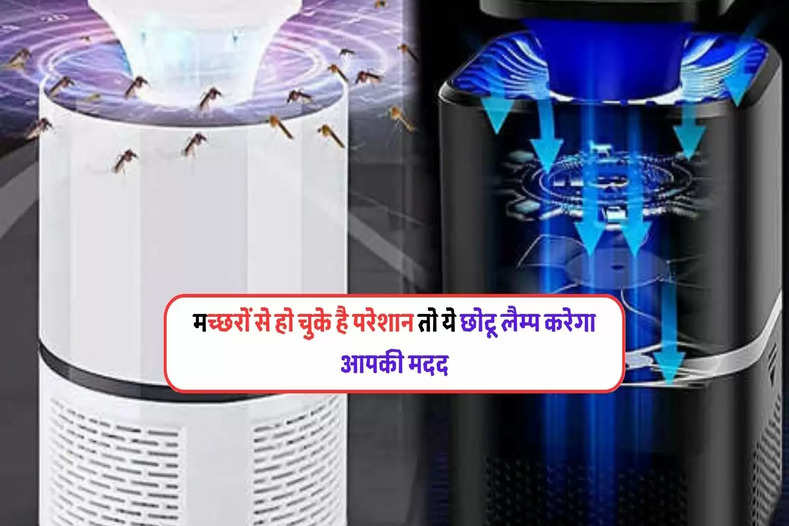small machine wil keep away mosquitos from your house