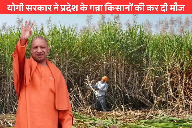 Sugarcane farmers of UP