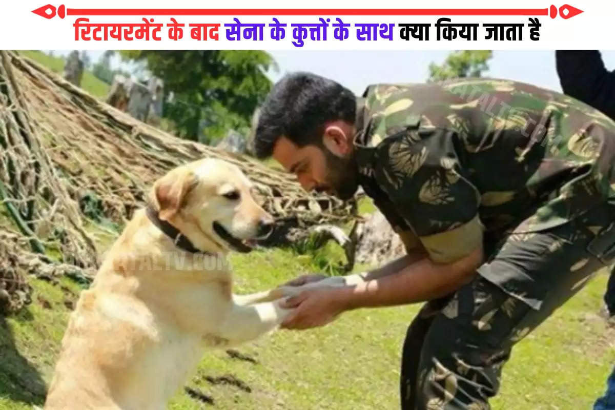 indian-army-shot-dead-its-dogs-after-retirement-know-the-truth-here-indian-army-dog