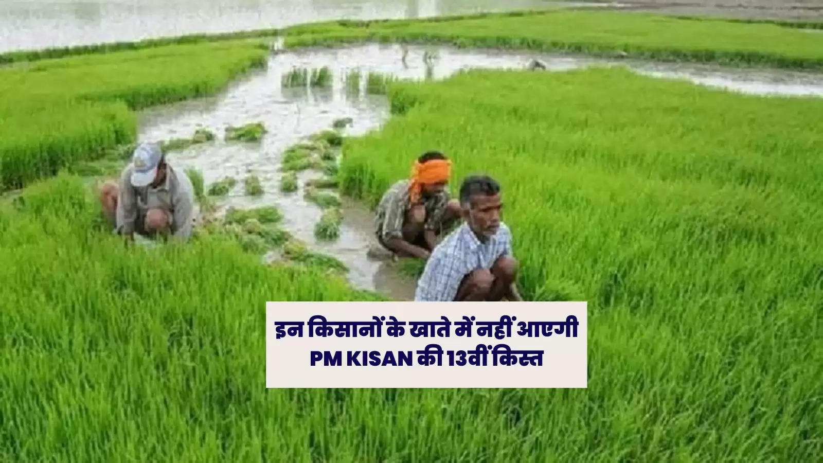 इन किसानों के खाते में नहीं आएगी PM KISAN की 13वीं किस्त