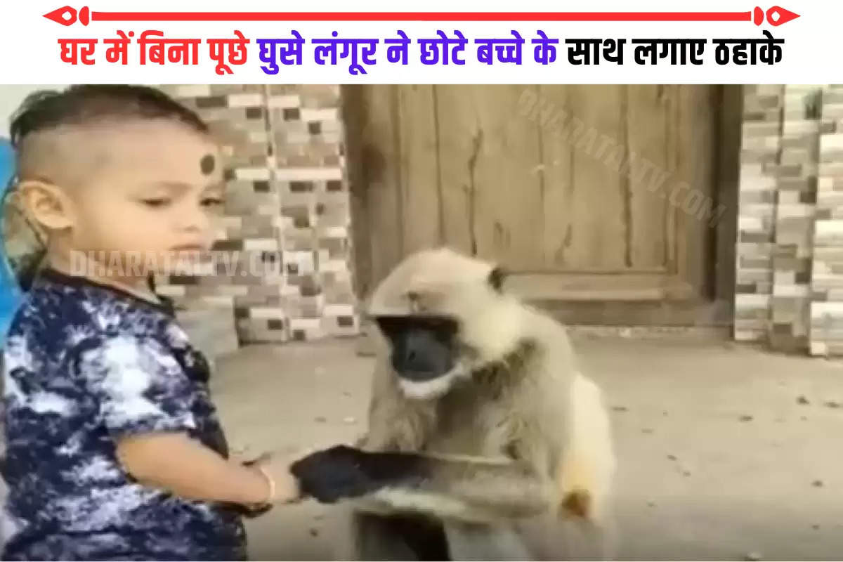 see-the-viral-video-of-a-child-and-a-monkey-friendship