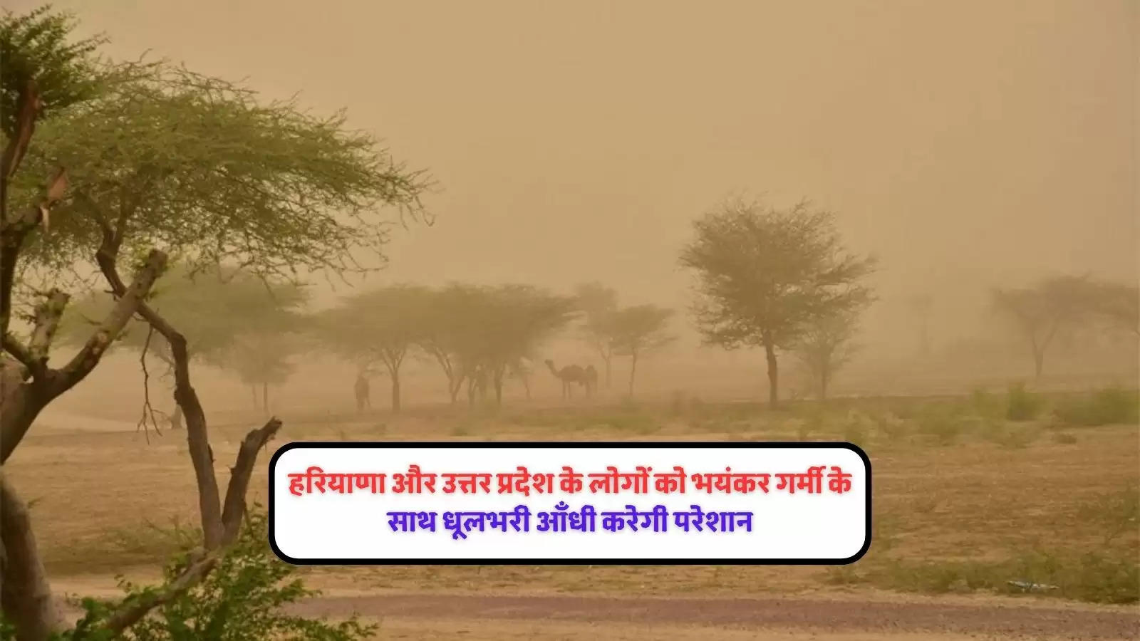 ust-storm-in-haryana-uttar-pradesh-heat-wave-conditions-in-these-parts-and-heavy-rains-in-northeas