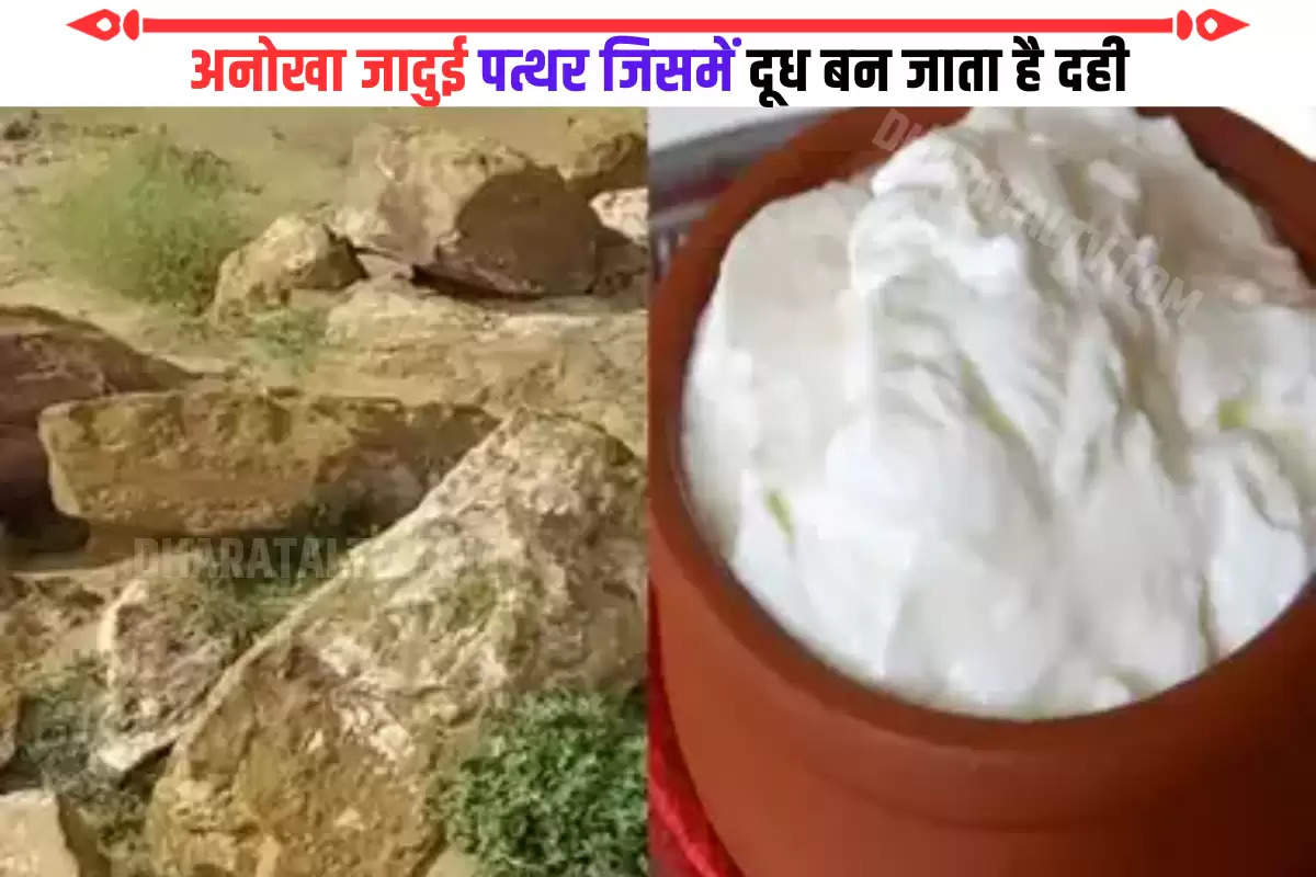 haburiya-bhata-stone-of-punamnagar-nagar-jaisalmer-can-turn-milk-into-curd