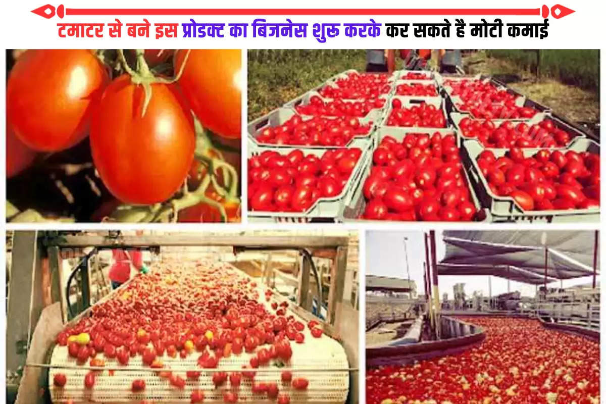 business-idea-start-tomato-ketchup-plant-with-mudra-loan-scheme-earn-lakh-of-rupees-check-details