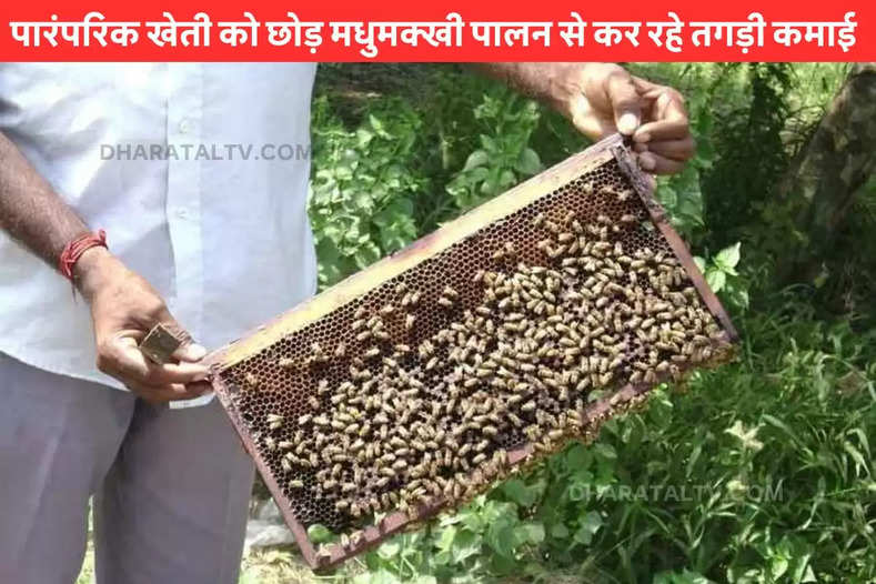 quit-traditional-farming-to-train-beekeeping-now-earning