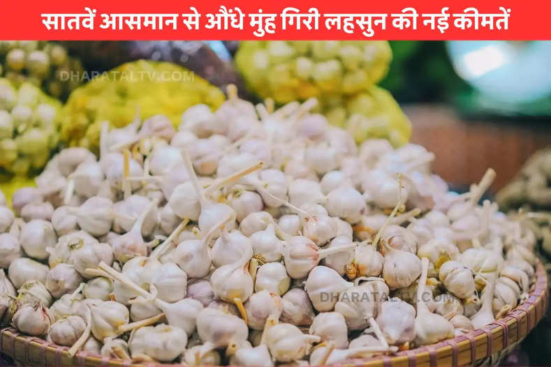 New prices of garlic fell from heaven