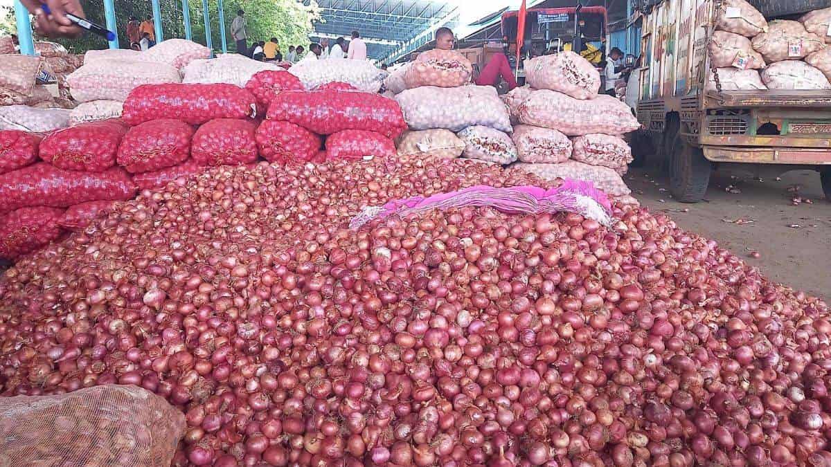 03_07_2023-onion_price_hike_dhar_202373_145521-min Onion mandi Prices