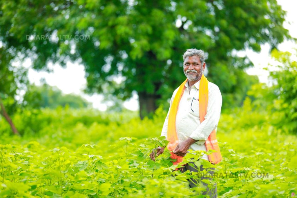 Rs 2000 on Kharif crops
