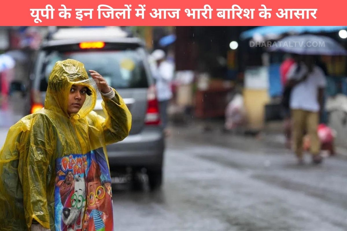 up-weather-forecast 17 August 2024