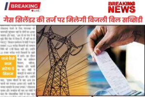 electricity subsidy