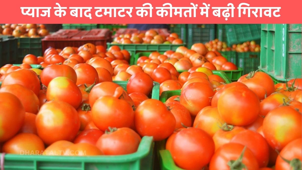 Delhi Tomato Price Hike